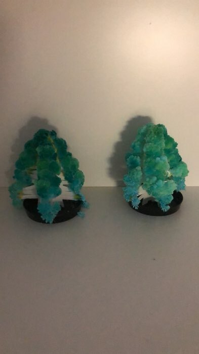Фотография покупателя товара Набор для выращивания кристалла «Опыты. Ёлочка. Чудесные кристаллы», колокольчики, уценка - Фото 1
