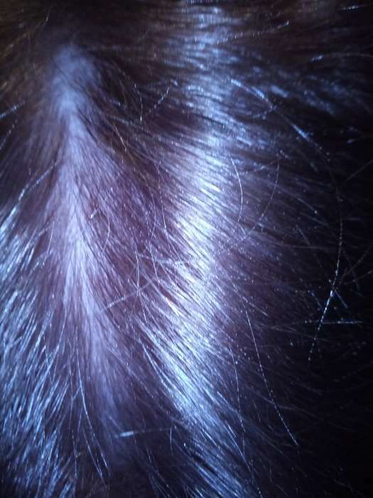 Фотография покупателя товара Cтойкая крем-краска для волос Effect Сolor тон черный, 50 мл - Фото 9