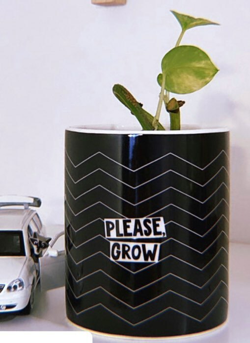 Фотография покупателя товара Керамическое кашпо «Please grow», 8 х 9,5 см - Фото 1