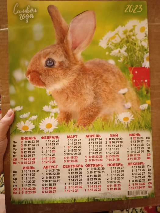 Фотография покупателя товара Календарь листовой "Символ Года 2023 - 14" 2023 год, бумага, А3