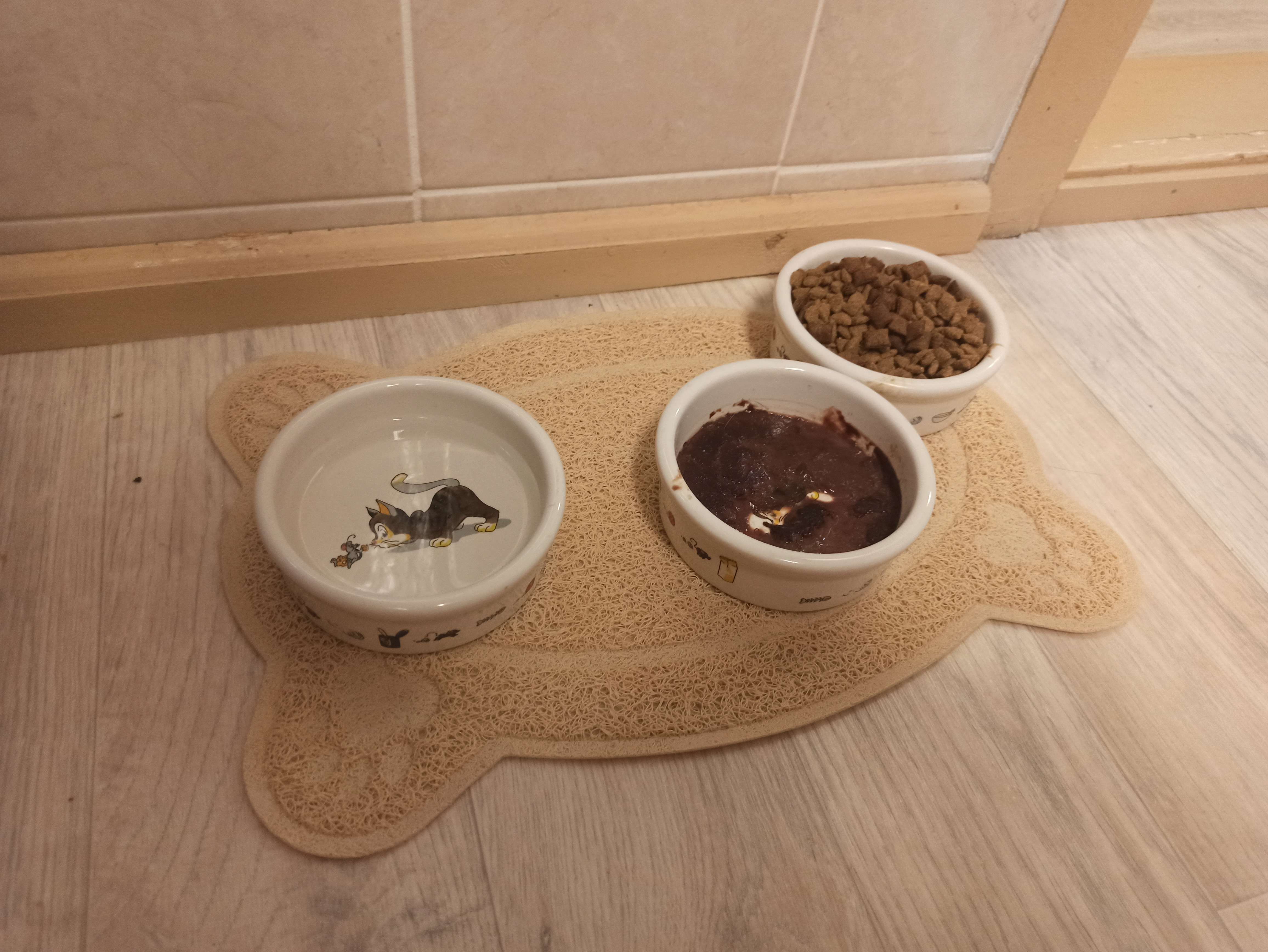 Фотография покупателя товара Коврик 2-в-1 под миску/туалет для животных фигурный, 40 х 25 см, бирюзовый - Фото 1