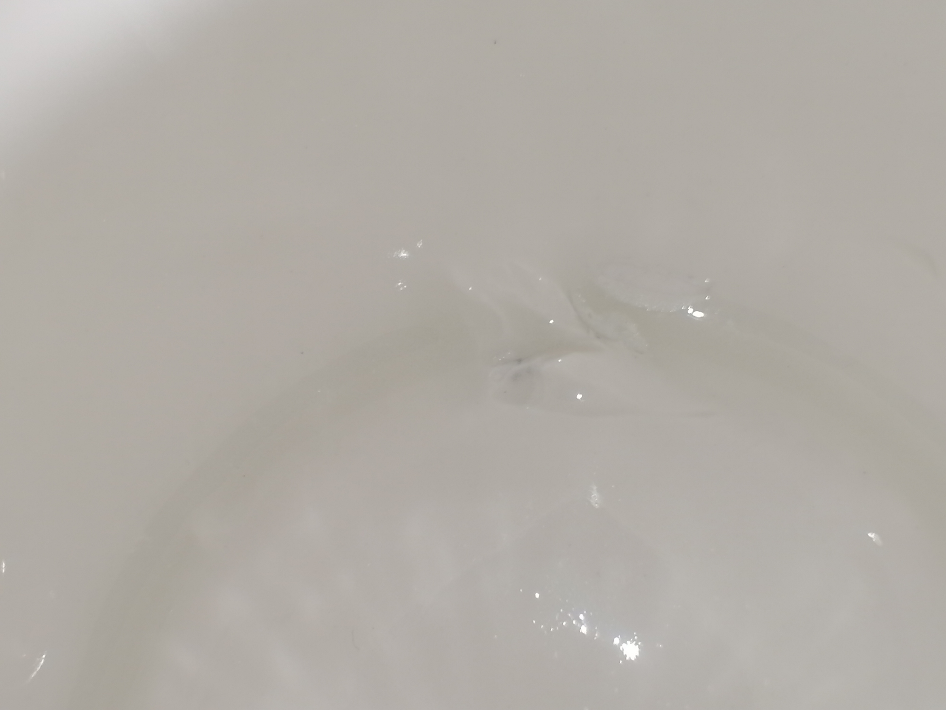 Фотография покупателя товара Чайник фарфоровый заварочный Доляна «Новый Год. Ёлка», 800 мл, цвет белый - Фото 4