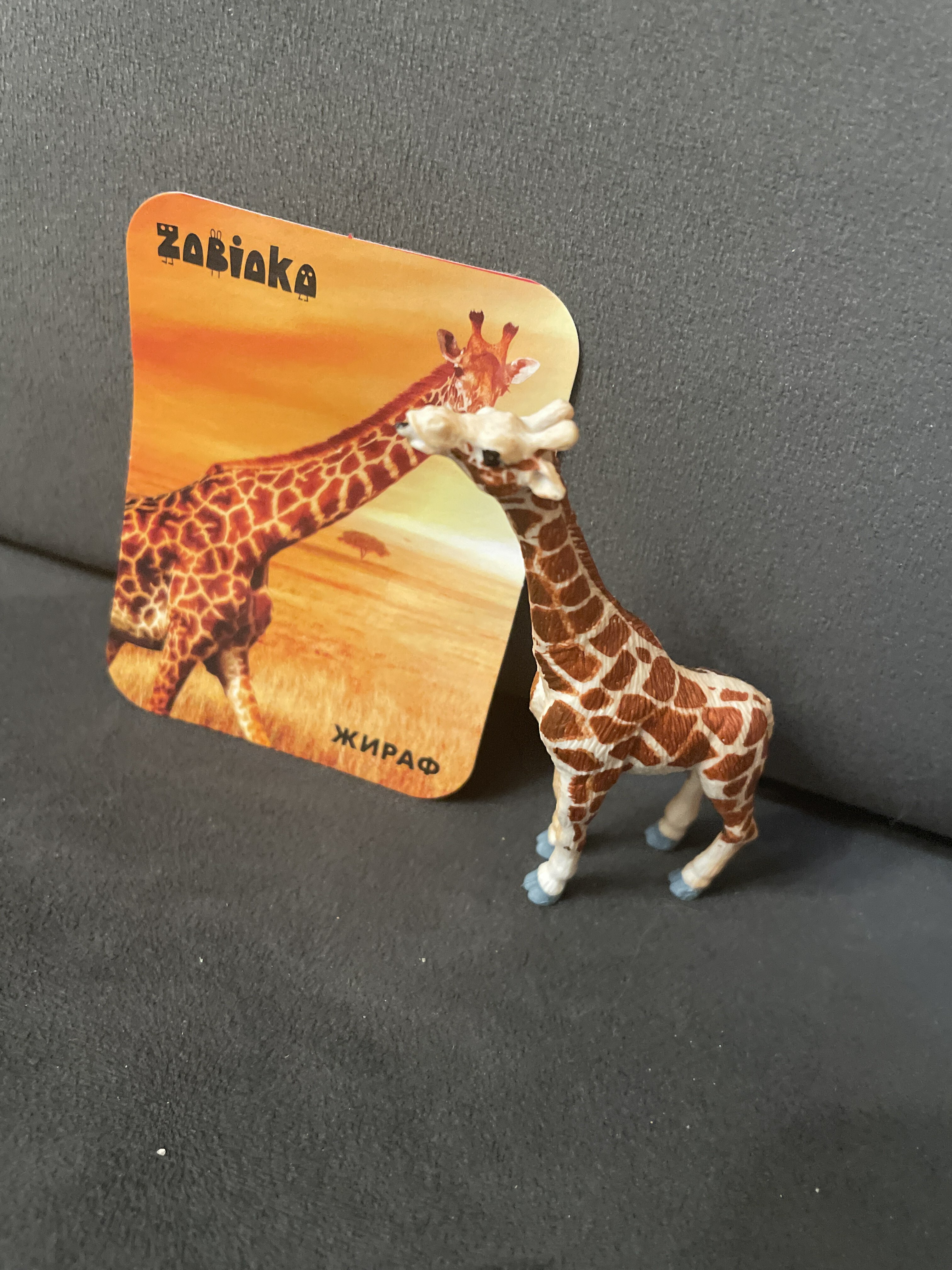 Фотография покупателя товара Фигурка «Жираф», с обучающей карточкой