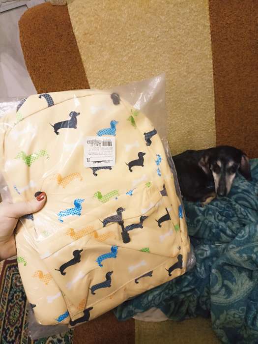 Фотография покупателя товара Рюкзак школьный из текстиля на молнии, наружный карман, пенал, цвет бежевый - Фото 2