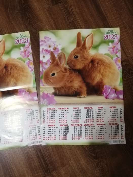 Фотография покупателя товара Календарь листовой "Символ Года 2023 - 55" 2023 год, бумага, А2 - Фото 1