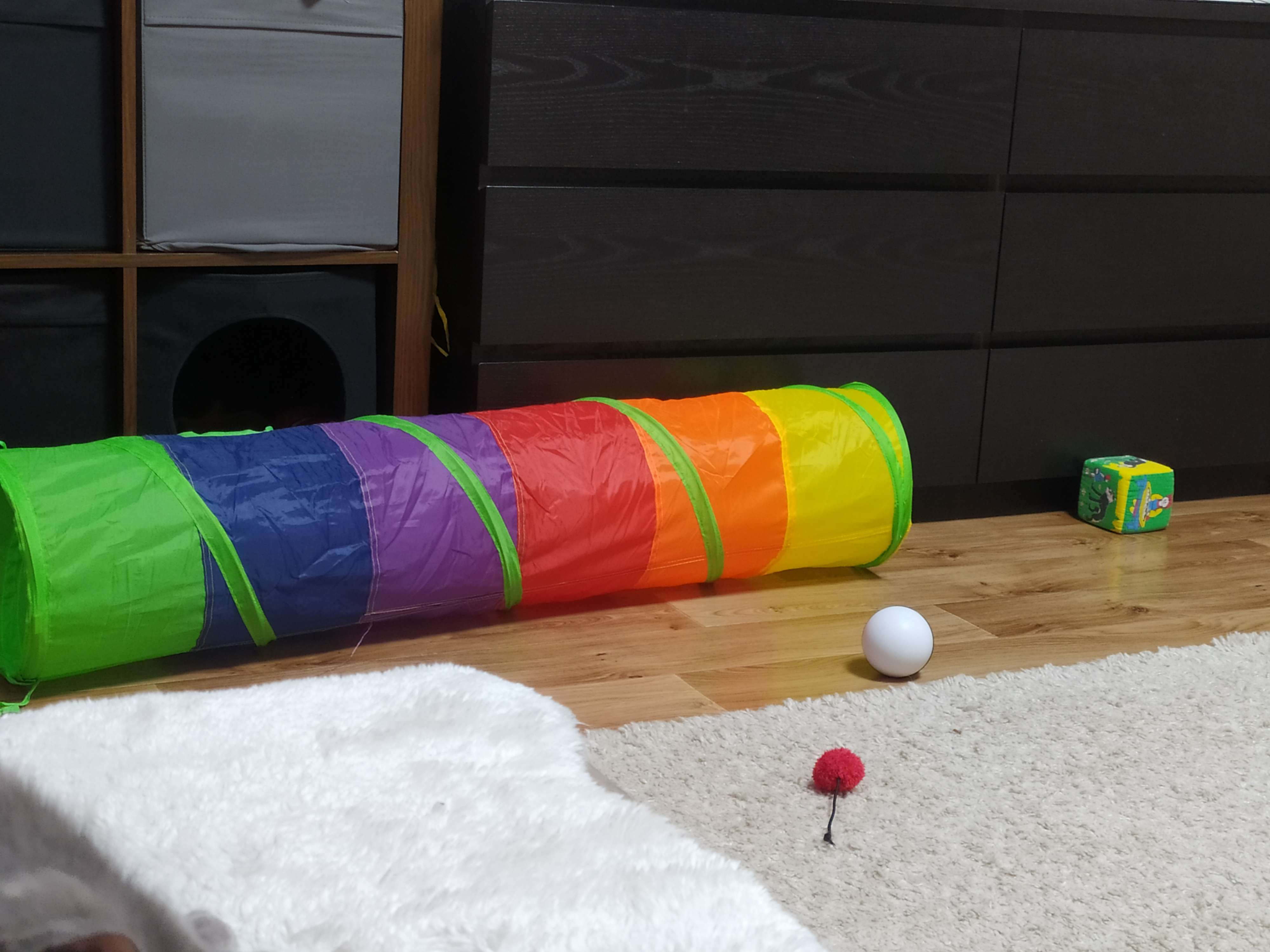 Фотография покупателя товара Туннель для кошек с игрушкой, 120 х 25 см, разноцветный - Фото 2