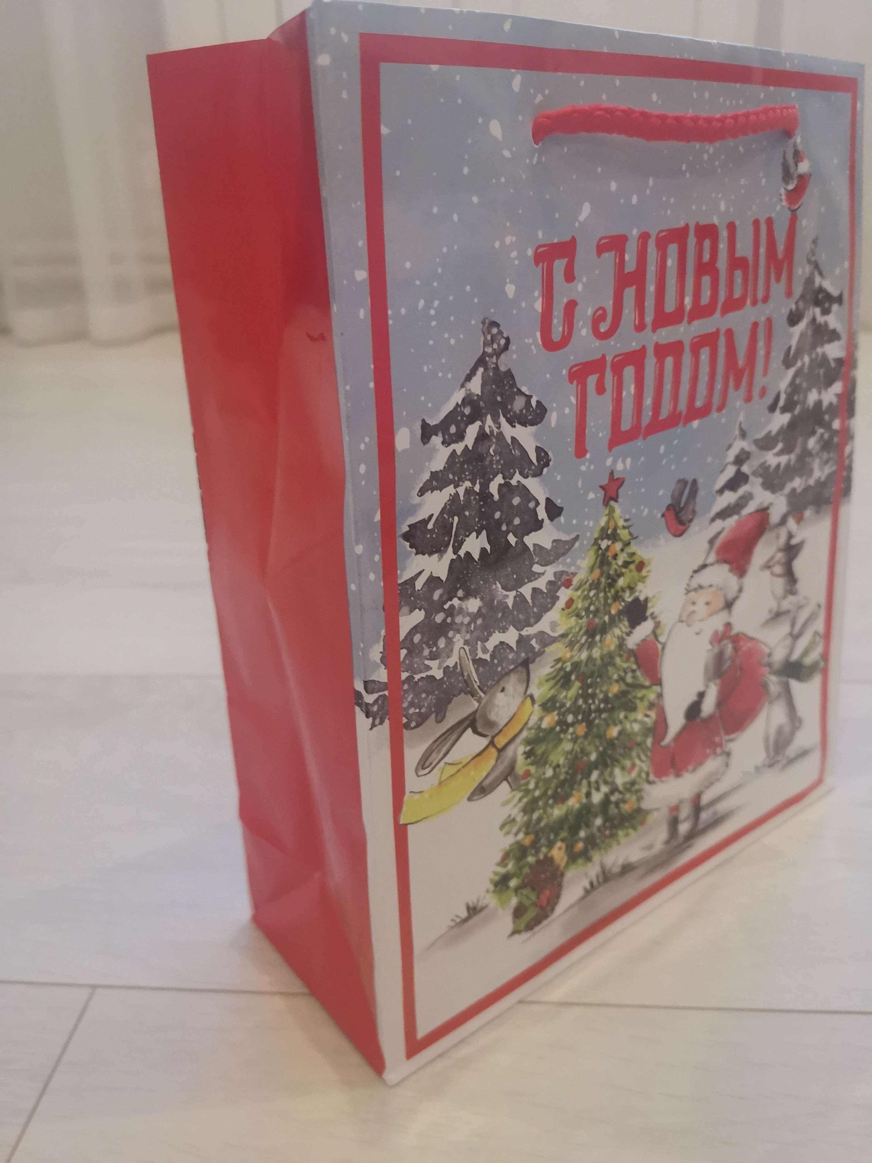 Фотография покупателя товара Пакет ламинированный вертикальный «Дедушка мороз», ML 21 × 25 × 8 см - Фото 2
