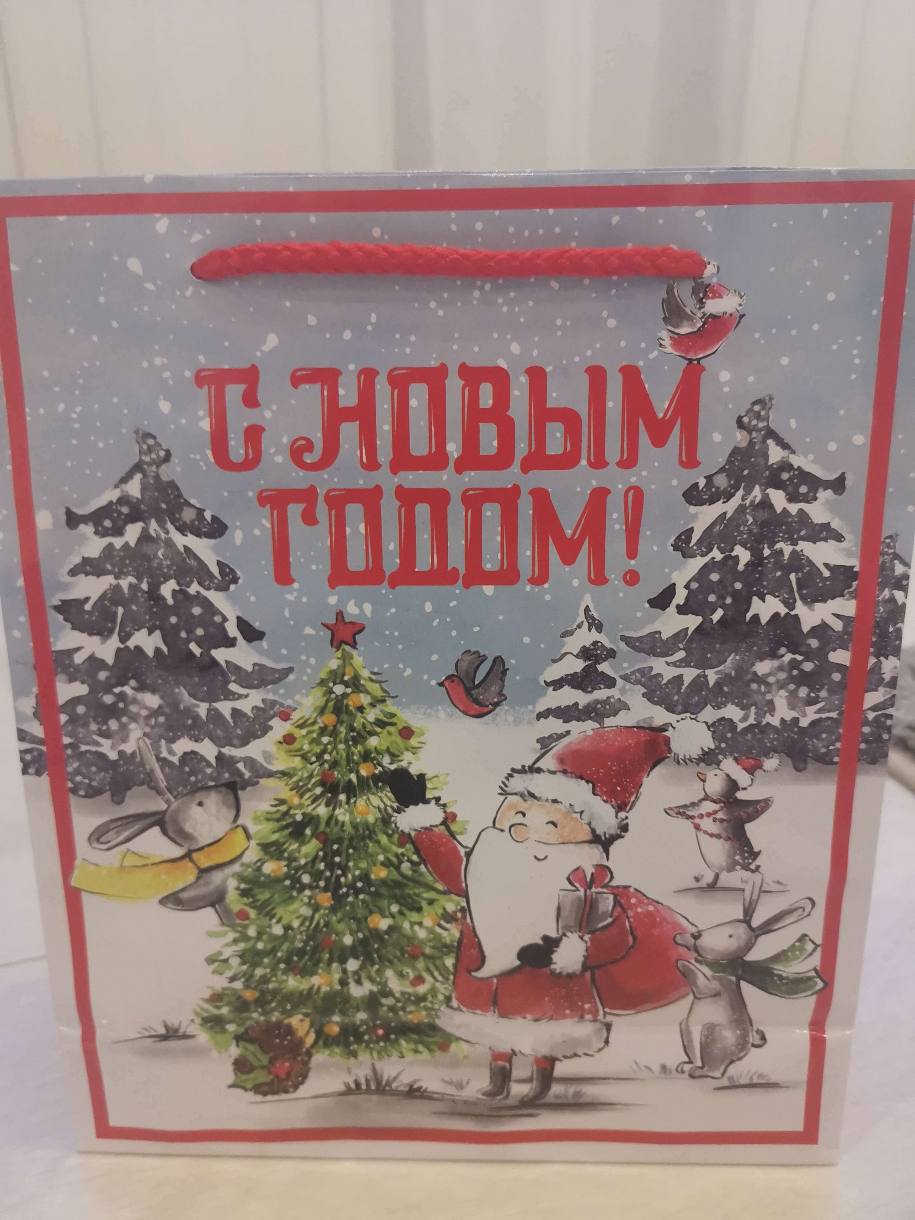 Фотография покупателя товара Пакет ламинированный вертикальный «Дедушка мороз», ML 21 × 25 × 8 см - Фото 1