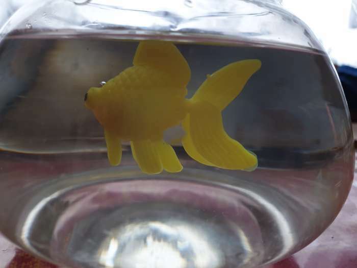 Фотография покупателя товара Декор для аквариума "Рыбки", (набор 4 шт.), 5,5 х 4,2 х 1,7 см