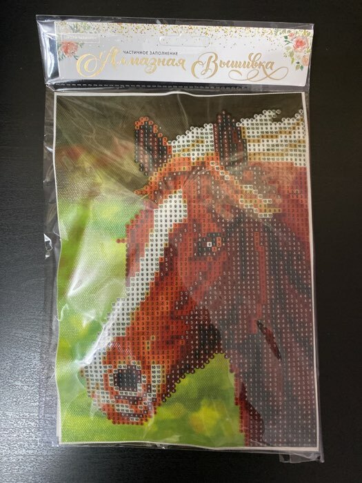 Фотография покупателя товара Алмазная мозаика с частичным заполнением «Лошадь», 15 х 21 см. Набор для творчества - Фото 6