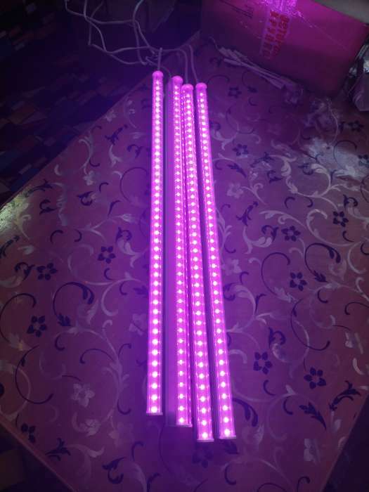 Фотография покупателя товара УЦЕНКА Фитосветильник светодиодный Luazon, 14 Вт, 900 мм, IP20, 220 В, мультиспектральный - Фото 37