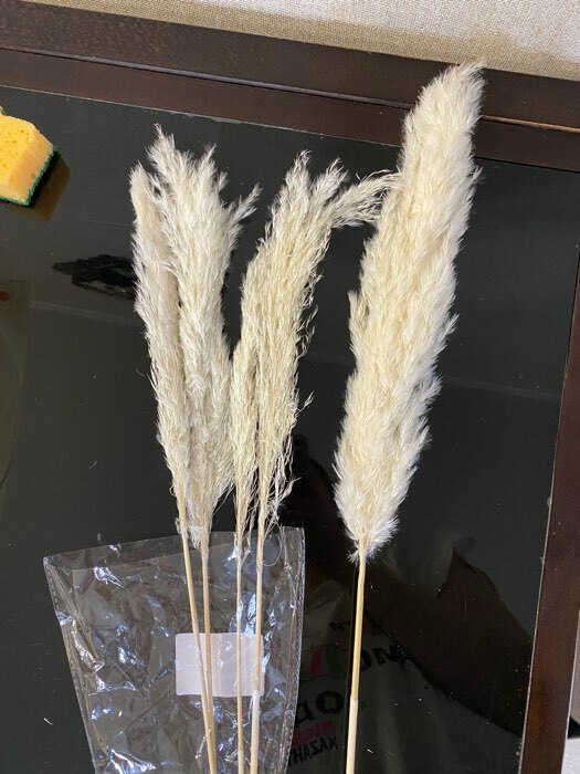 Фотография покупателя товара Сухоцвет «Пампасная трава» набор 5 шт., цвет бежевый - Фото 8