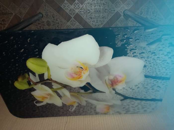 Фотография покупателя товара Стол прямоуголный с фп Орхидея белая, 1000х600х777, стекло/пояс венге/прямые хром - Фото 1
