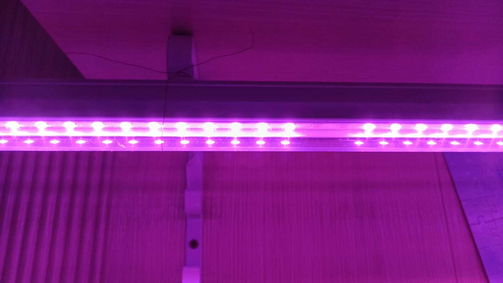 Фотография покупателя товара Фитосветильник светодиодный Luazon, 14 Вт, 900 мм, IP20, 220 В, мультиспектральный - Фото 48