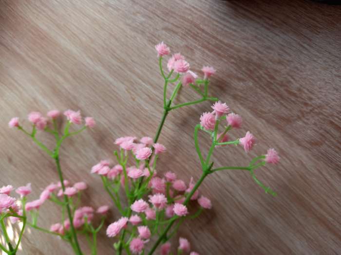 Фотография покупателя товара Цветы искусственные "Ветка гипсофилы" 1х53 см, розовый - Фото 1