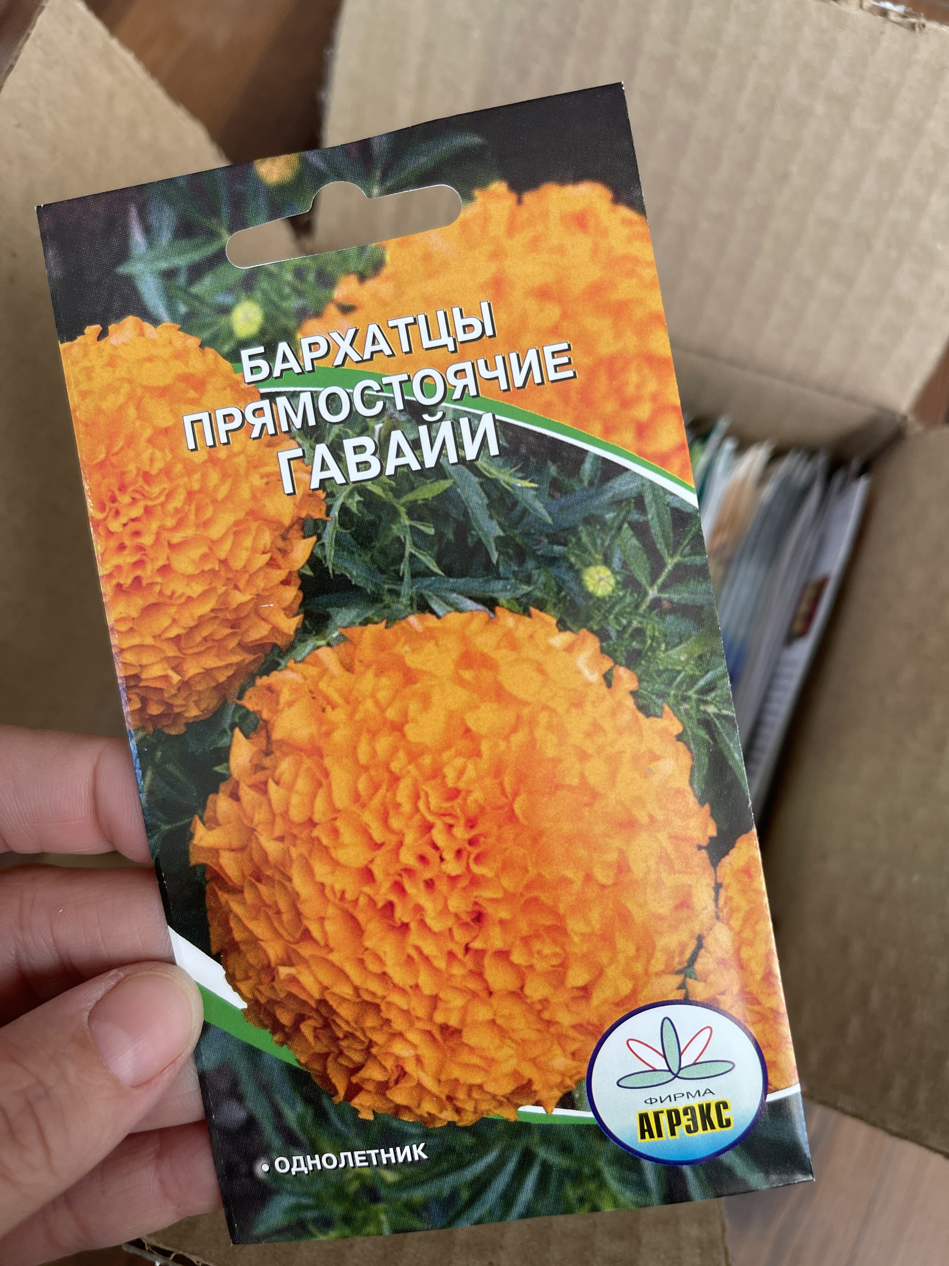 Фотография покупателя товара Семена цветов Бархатцы прямостоячие "Гавайи", 0,2 г - Фото 1
