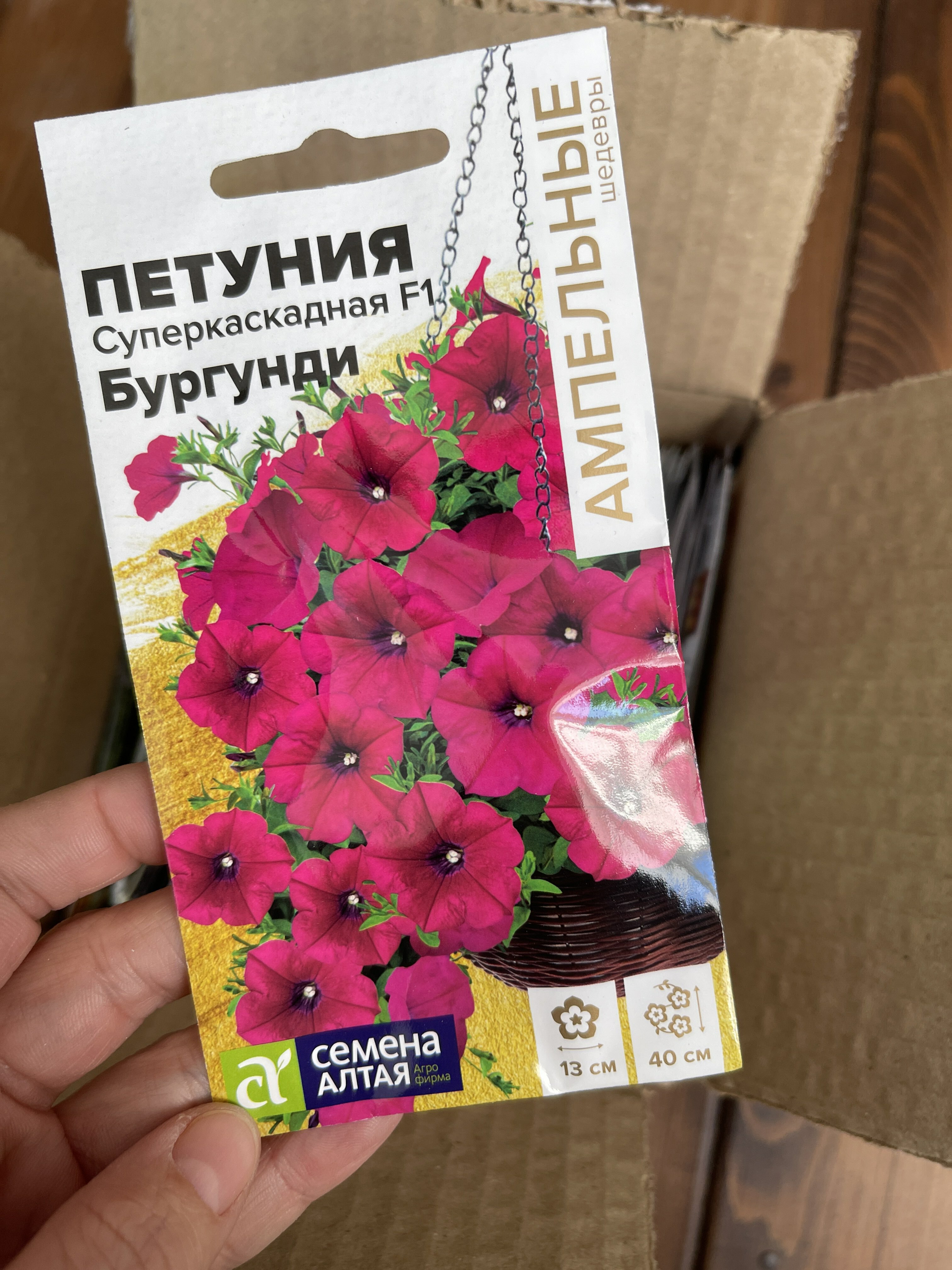 Фотография покупателя товара Семена цветов  Петуния Суперкаскадная "Бургунди", F1, 10 шт - Фото 17