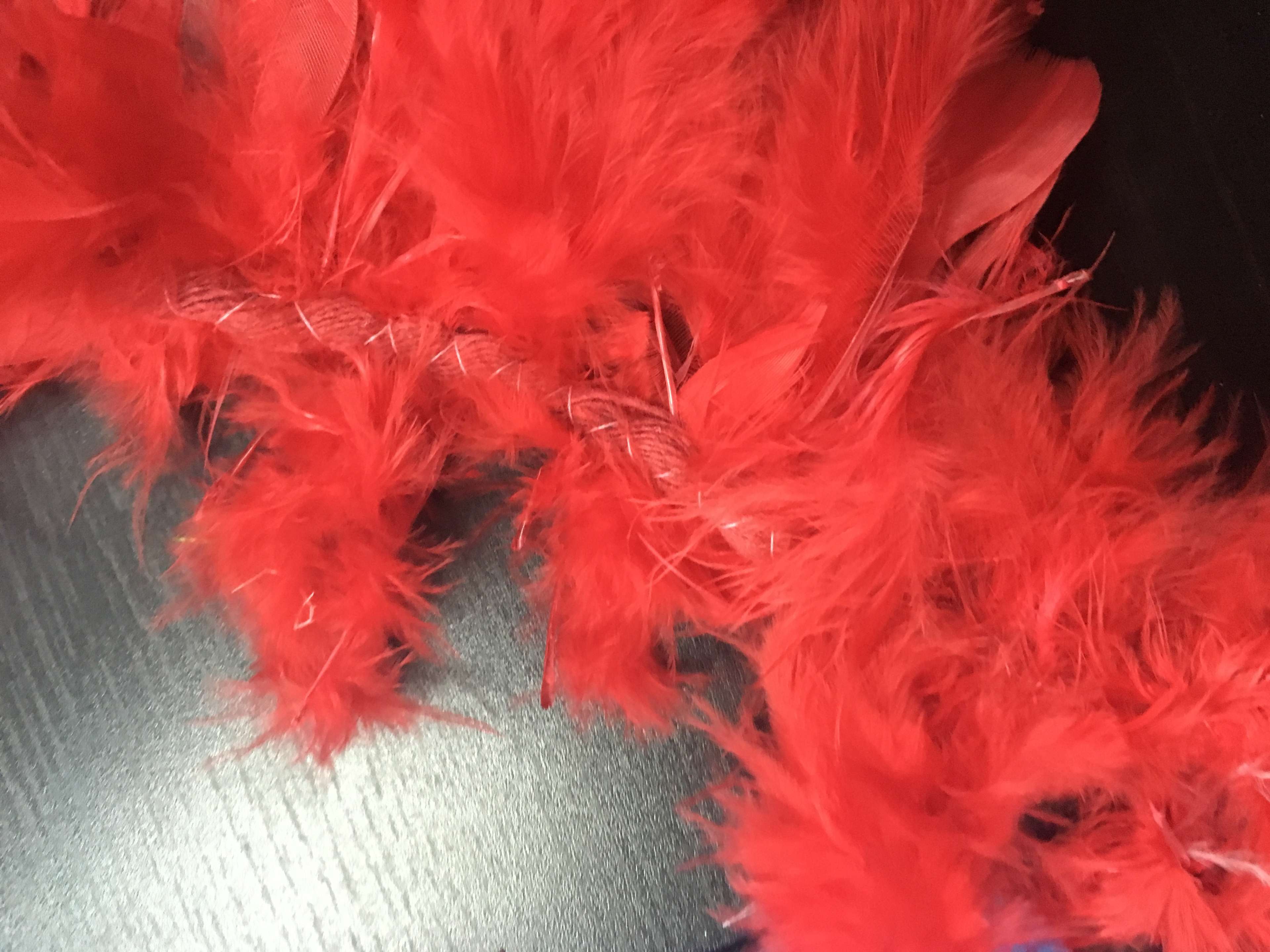 Фотография покупателя товара Карнавальный шарф-перо, 180 см, цвет красный
