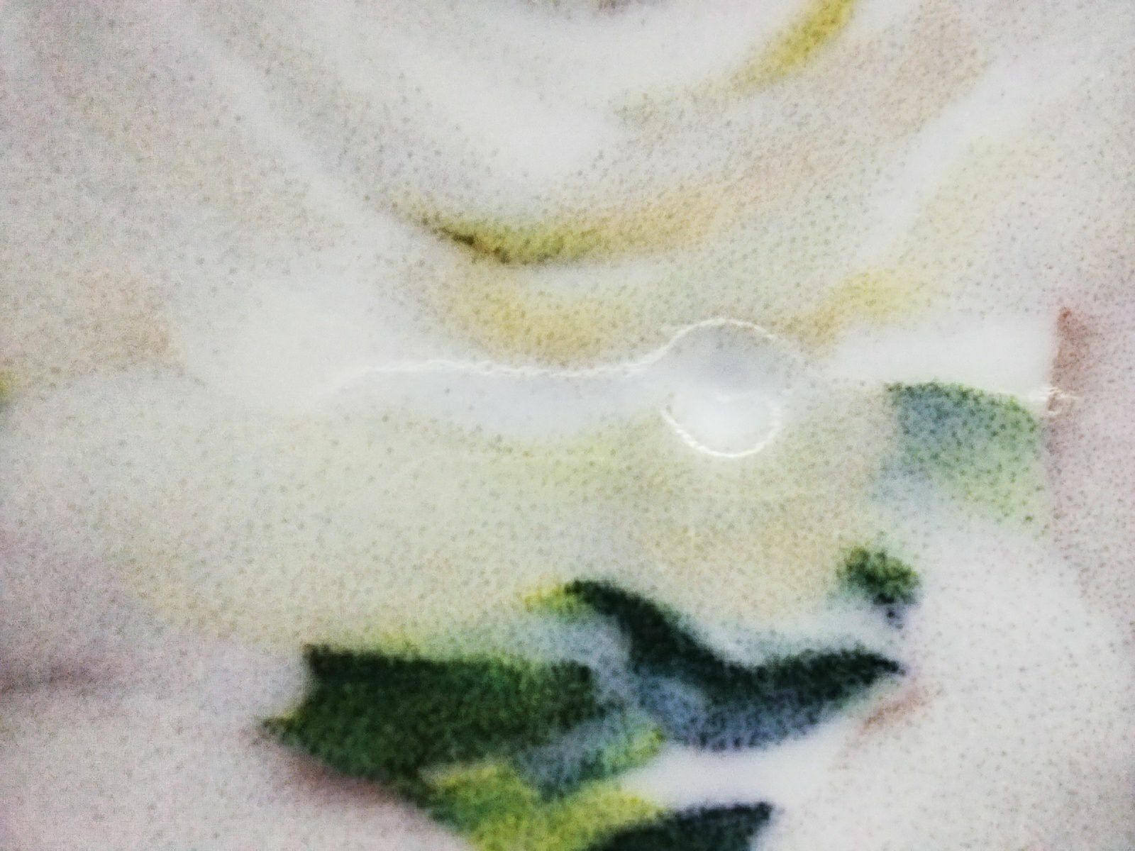Фотография покупателя товара Тарелка фарфоровая «Верона», d=24 см, белая - Фото 12