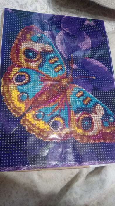 Фотография покупателя товара Алмазная мозаика с полным заполнением на холсте «Бабочка», 15 х 21 см - Фото 1