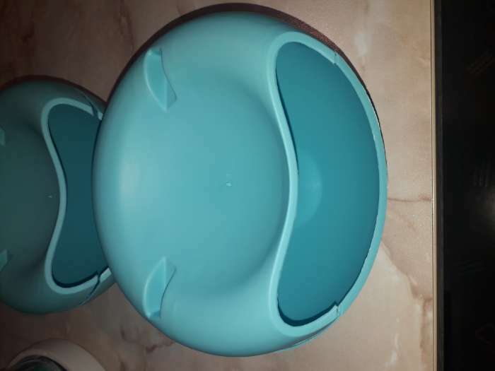 Фотография покупателя товара Тарелка пластиковая для семечек и орехов «Плэтэр», 20×11 см, с подставкой для телефона, цвет МИКС - Фото 4