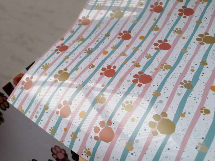 Фотография покупателя товара Коврик под миску "Пижон" 43 х 28 см "Следы" - Фото 4