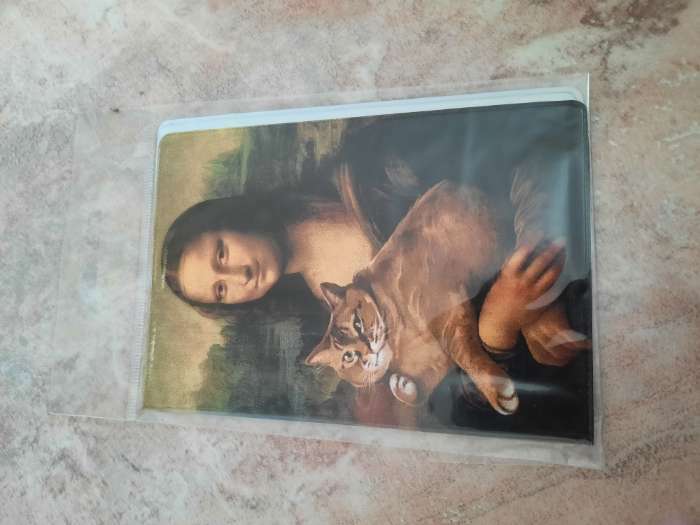 Фотография покупателя товара Обложка для паспорта "Я работаю, чтобы у моего кота была лучшая жизнь"  (по 1 шт)