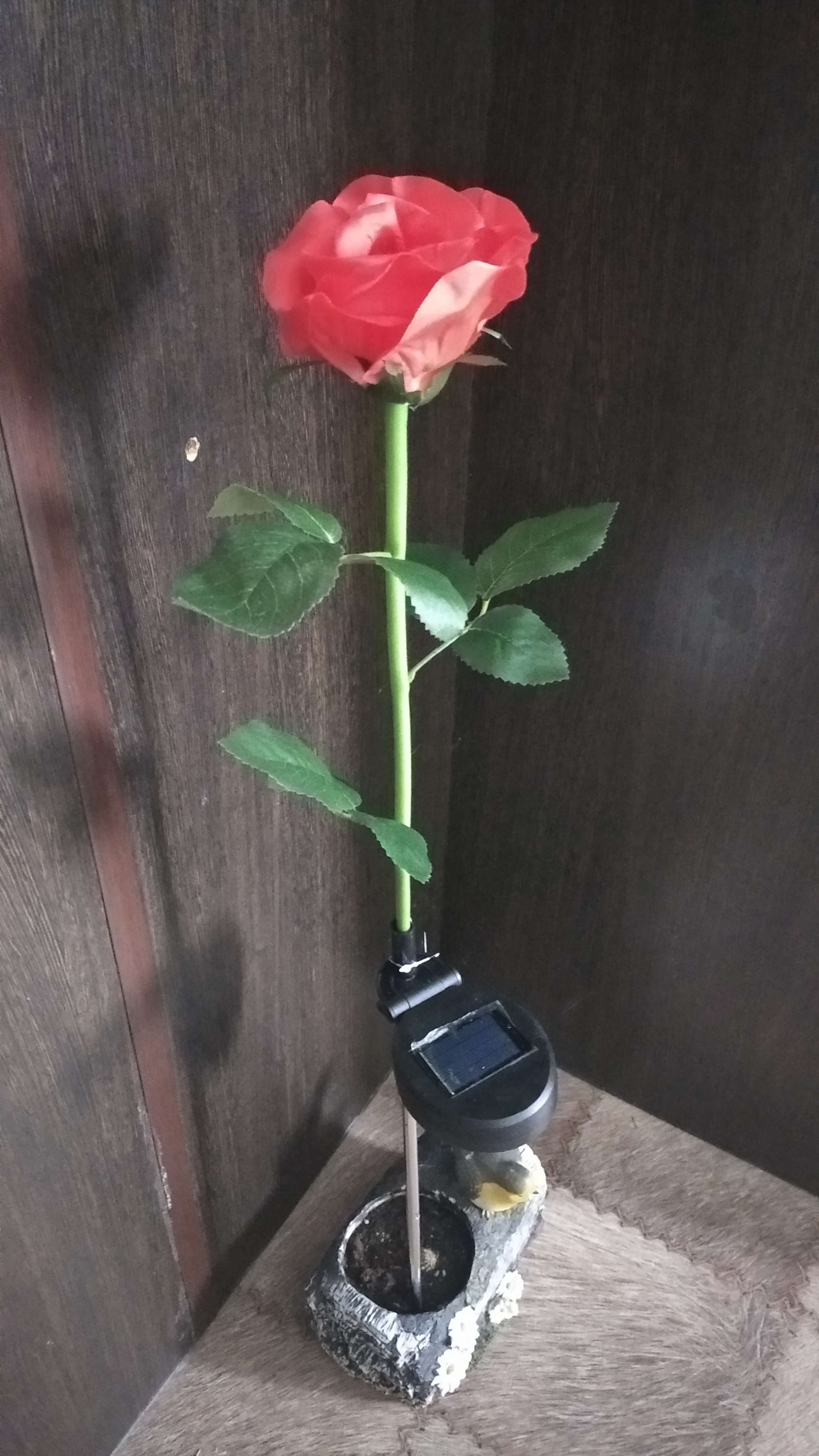 Фотография покупателя товара Садовый светильник на солнечной батарее «Роза красная», 75 см, 5 LED, свечение белое