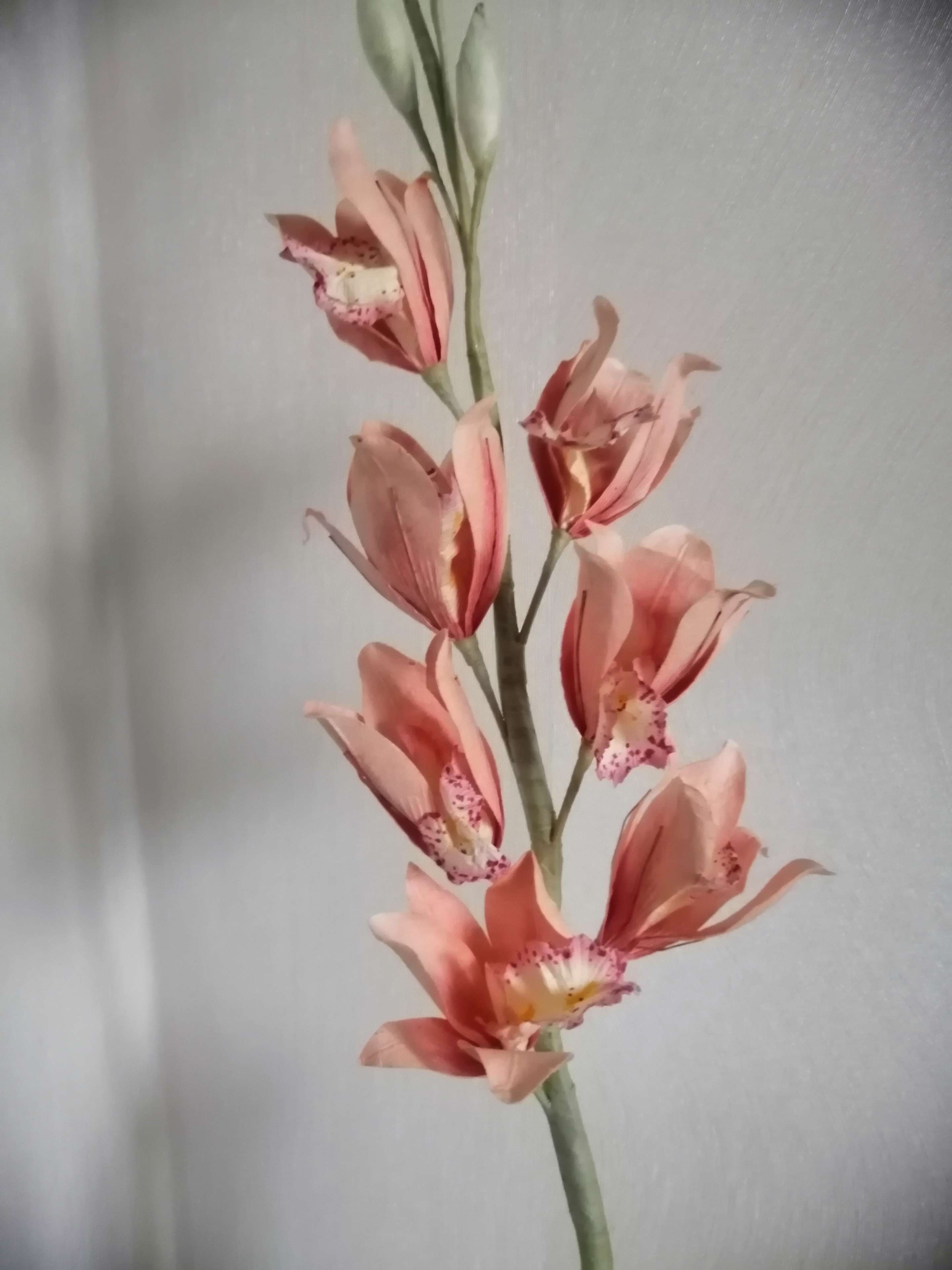 Фотография покупателя товара Искусственный цветок "Орхидея цимбидиум" пудра 105 см - Фото 2