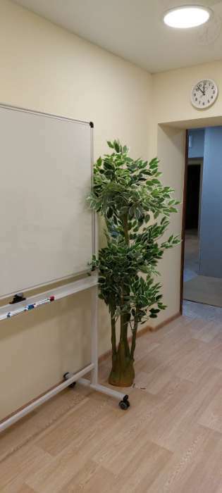 Фотография покупателя товара Дерево искусственное "Лист с белой каемкой" 160 см
