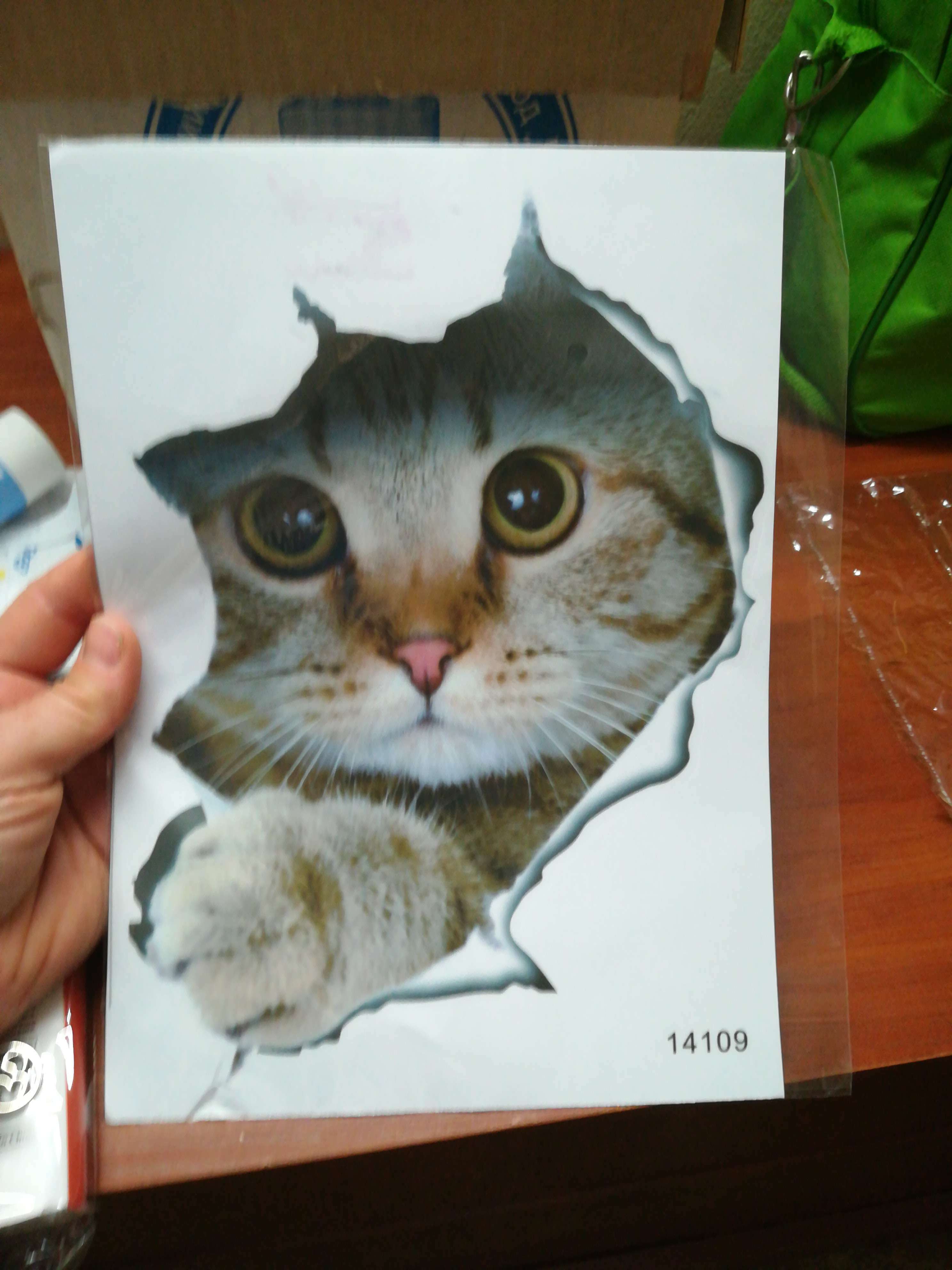Фотография покупателя товара Наклейка 3Д интерьерная Кошка 25*20см
