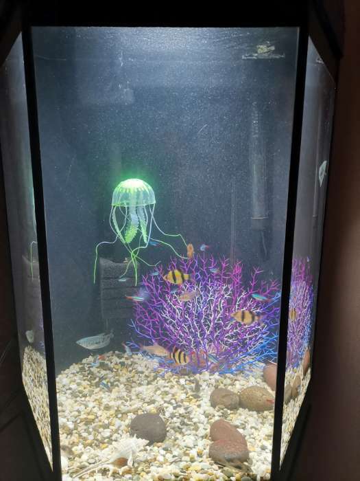 Фотография покупателя товара Декор для аквариума "Медуза" силиконовая, флуоресцентная, 5 х 5 х 15 см, зелёная - Фото 1