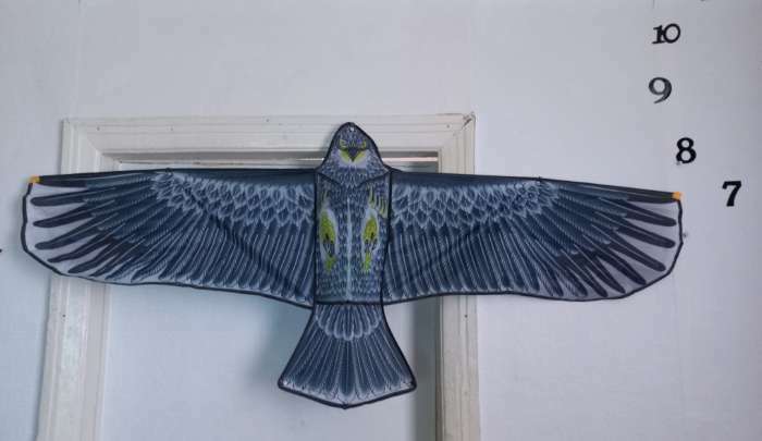 Фотография покупателя товара Воздушный змей «Орёл в полете», с леской, цвета МИКС - Фото 1