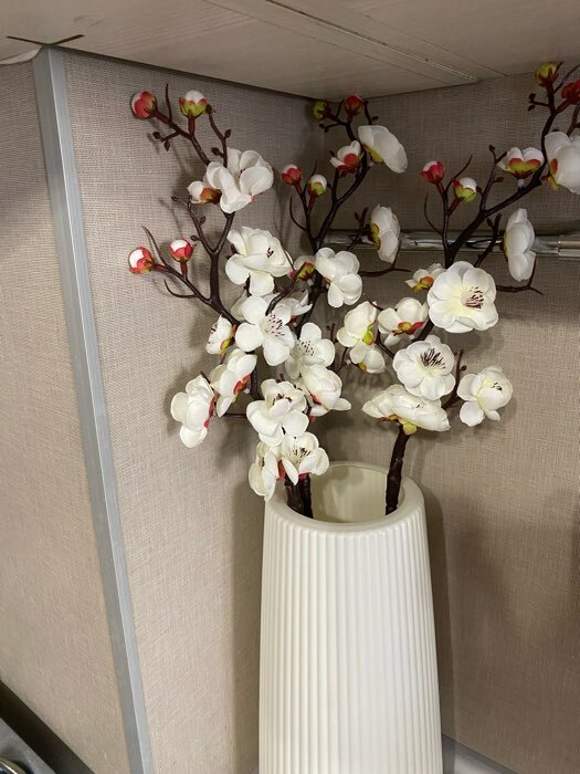 Фотография покупателя товара Цветы искусственные "Ветка сакуры" 3х60 см, белый - Фото 1