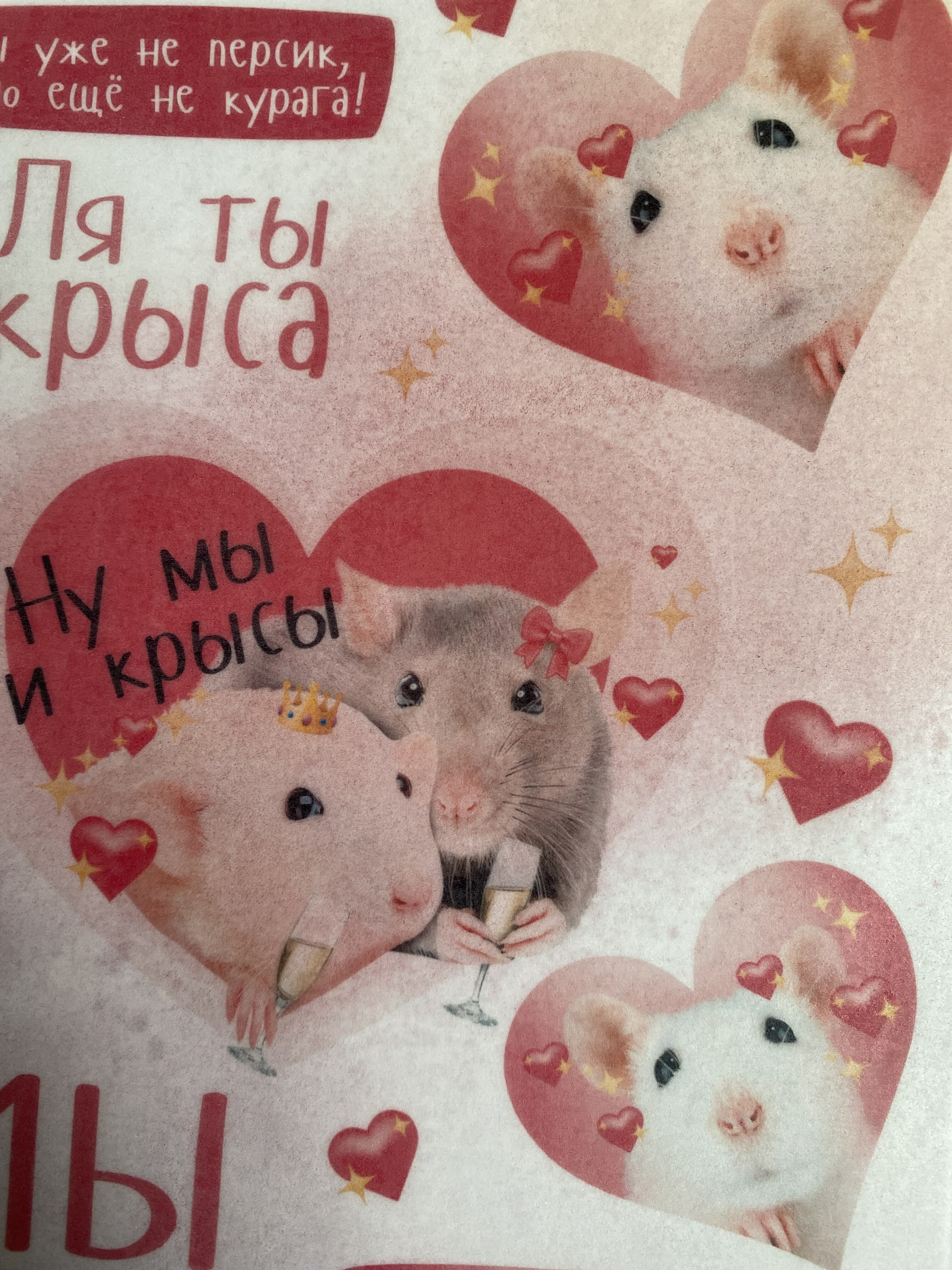 Фотография покупателя товара KONFINETTA Съедобные цветные картинки на вафельной бумаге «Ля ты крыса», 1 лист А5 - Фото 9