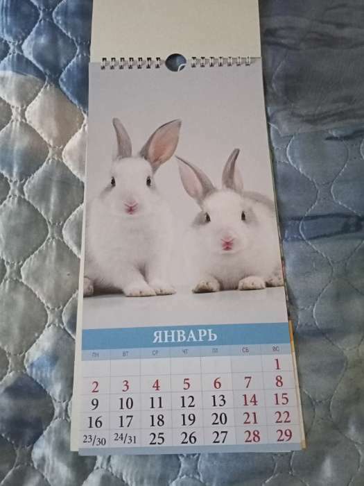 Фотография покупателя товара Календарь перекидной на ригеле "Символ года - 1" 2023 год, 16,5 х 34 см - Фото 4