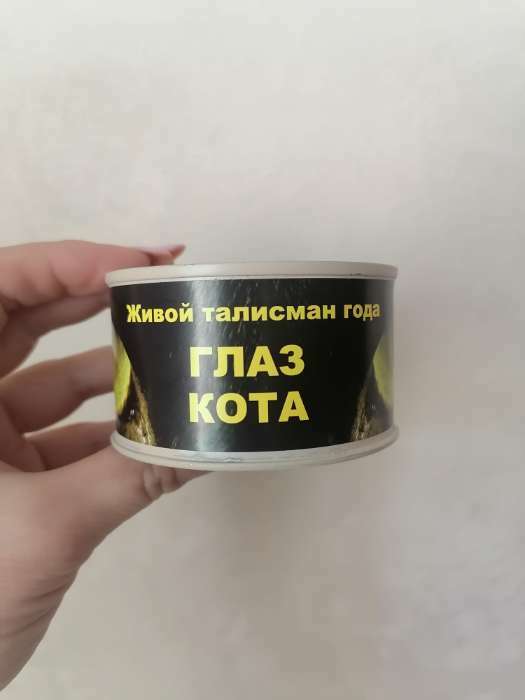 Фотография покупателя товара Сувенир в банке «Глаз Кота 2023», талисман, цитрин - Фото 1
