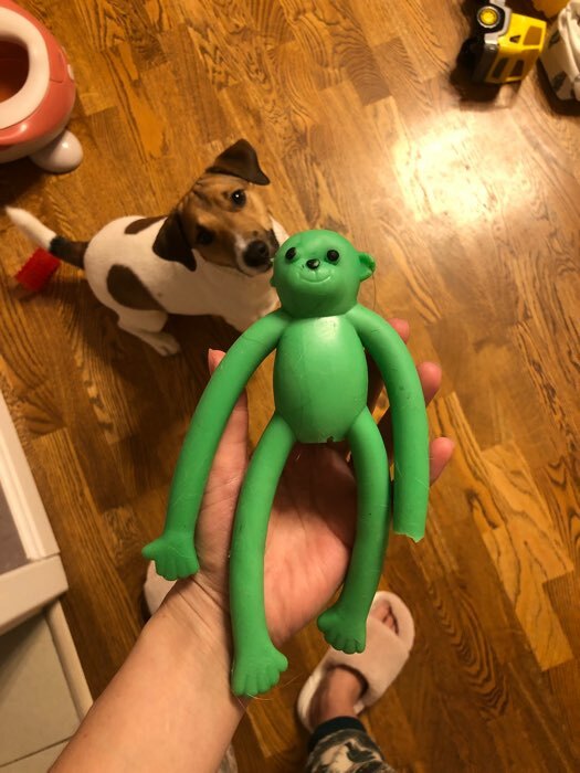 Фотография покупателя товара Игрушка для собак "Обезьяна" с пищалкой, 19,5 см, силикон, зелёная