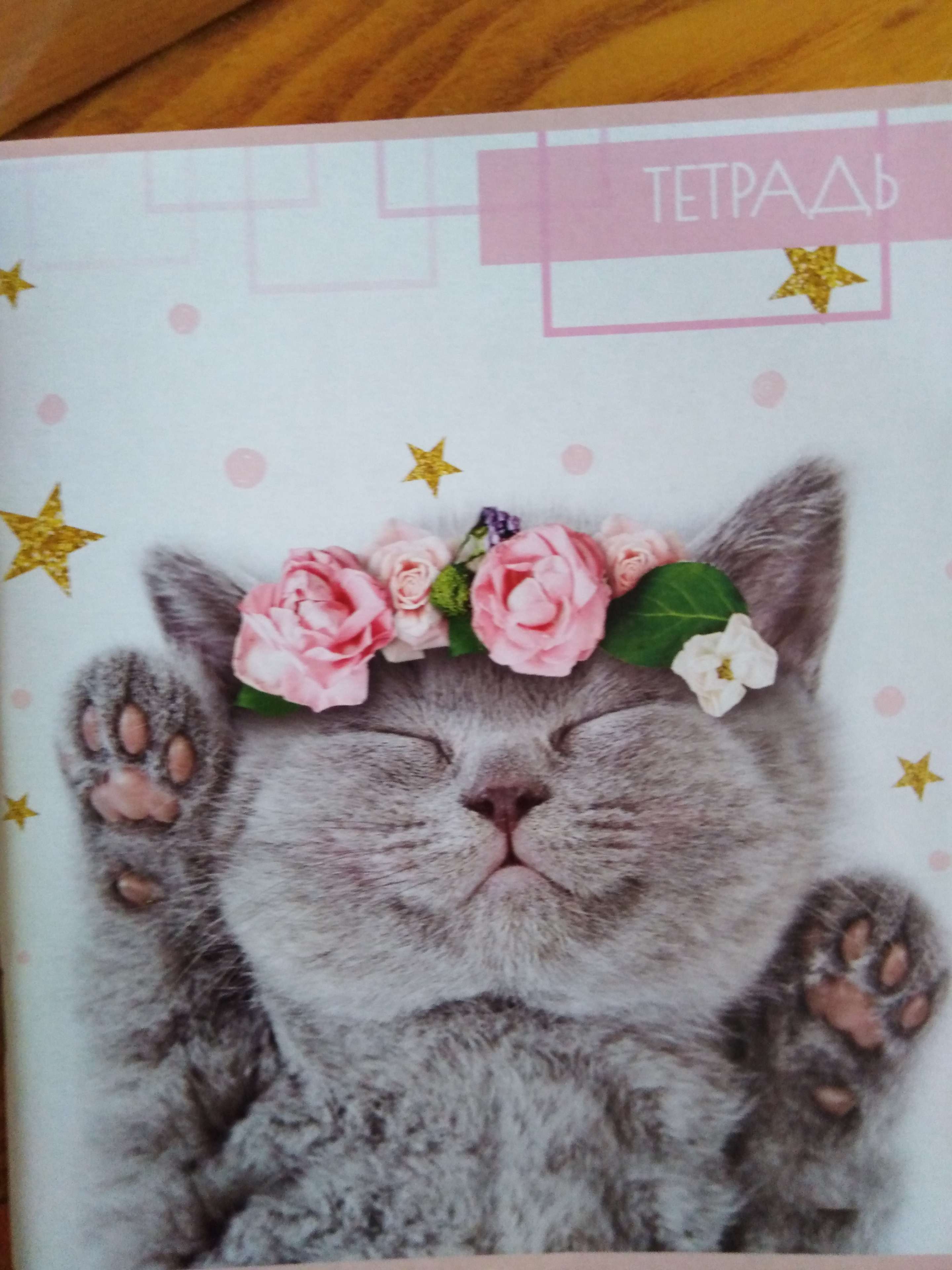 Фотография покупателя товара Тетрадь 48 листов в клетку Calligrata "Котята", обложка мелованный картон, блок офсет, МИКС - Фото 6