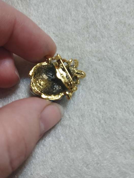 Фотография покупателя товара Брошь «Жучок» маленький, цветная в чернёном золоте - Фото 1