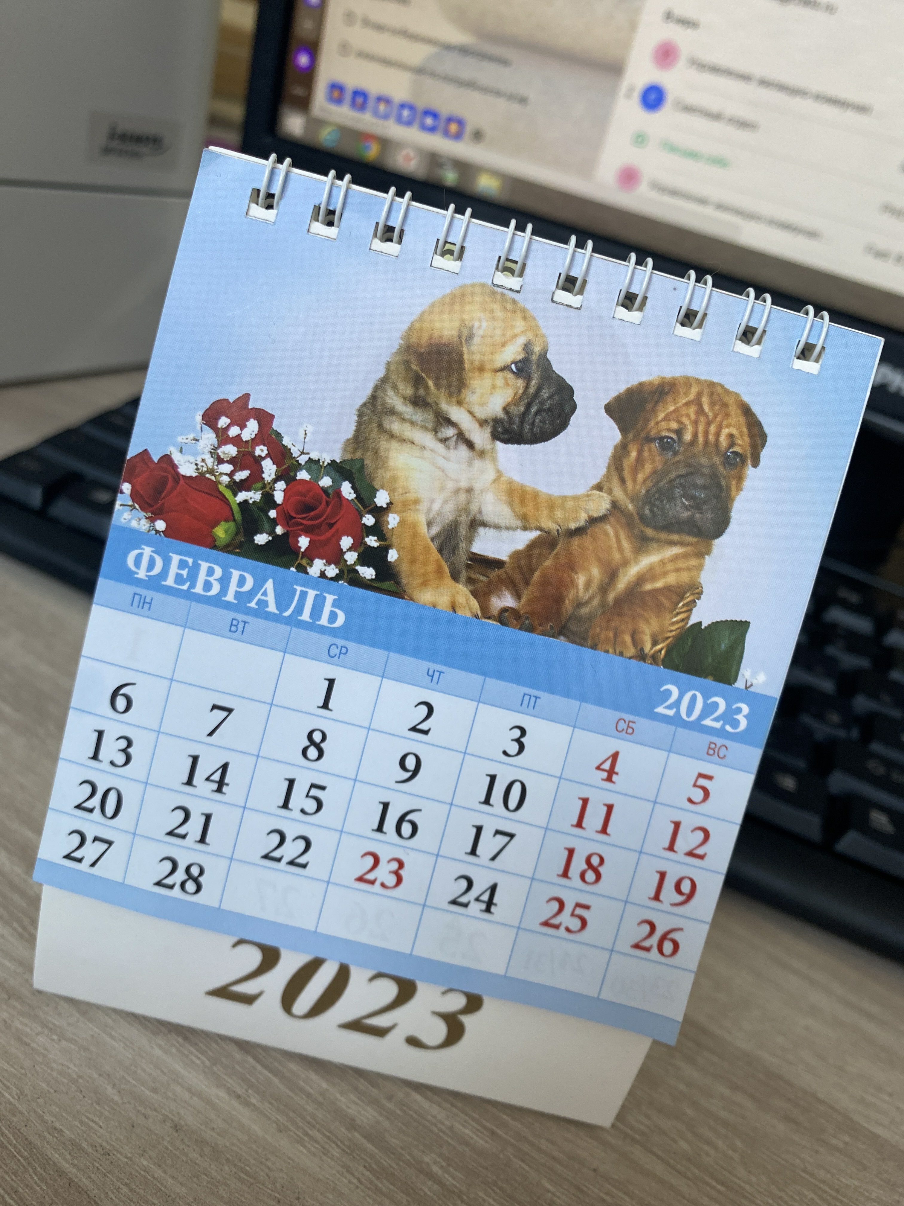 Фотография покупателя товара Календарь настольный, домик "Щенки" 2023 год, 10 х 14 см - Фото 1