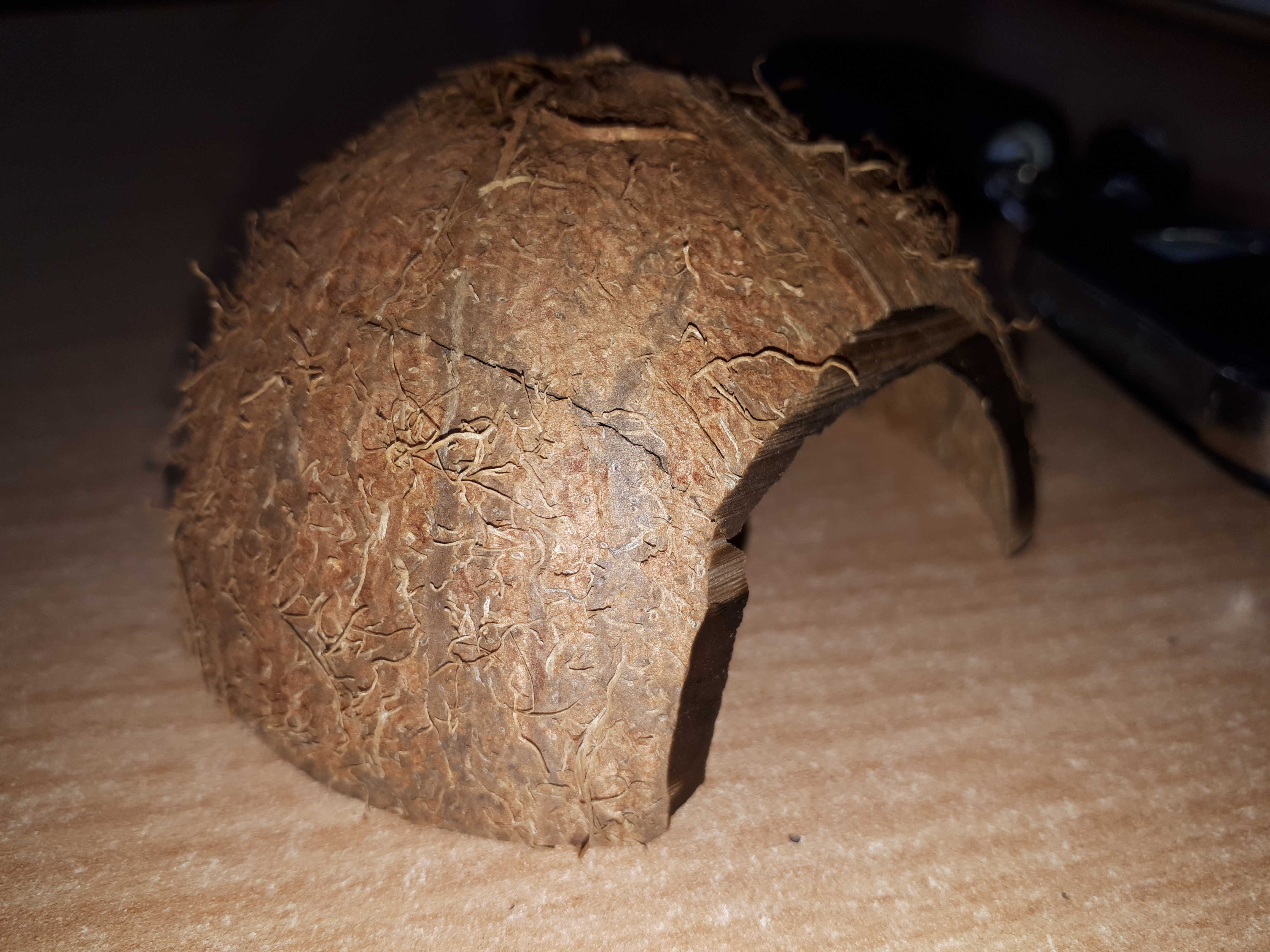 Фотография покупателя товара Скорлупа кокосовая 1/2, для рептилий и грызунов, L - Фото 2