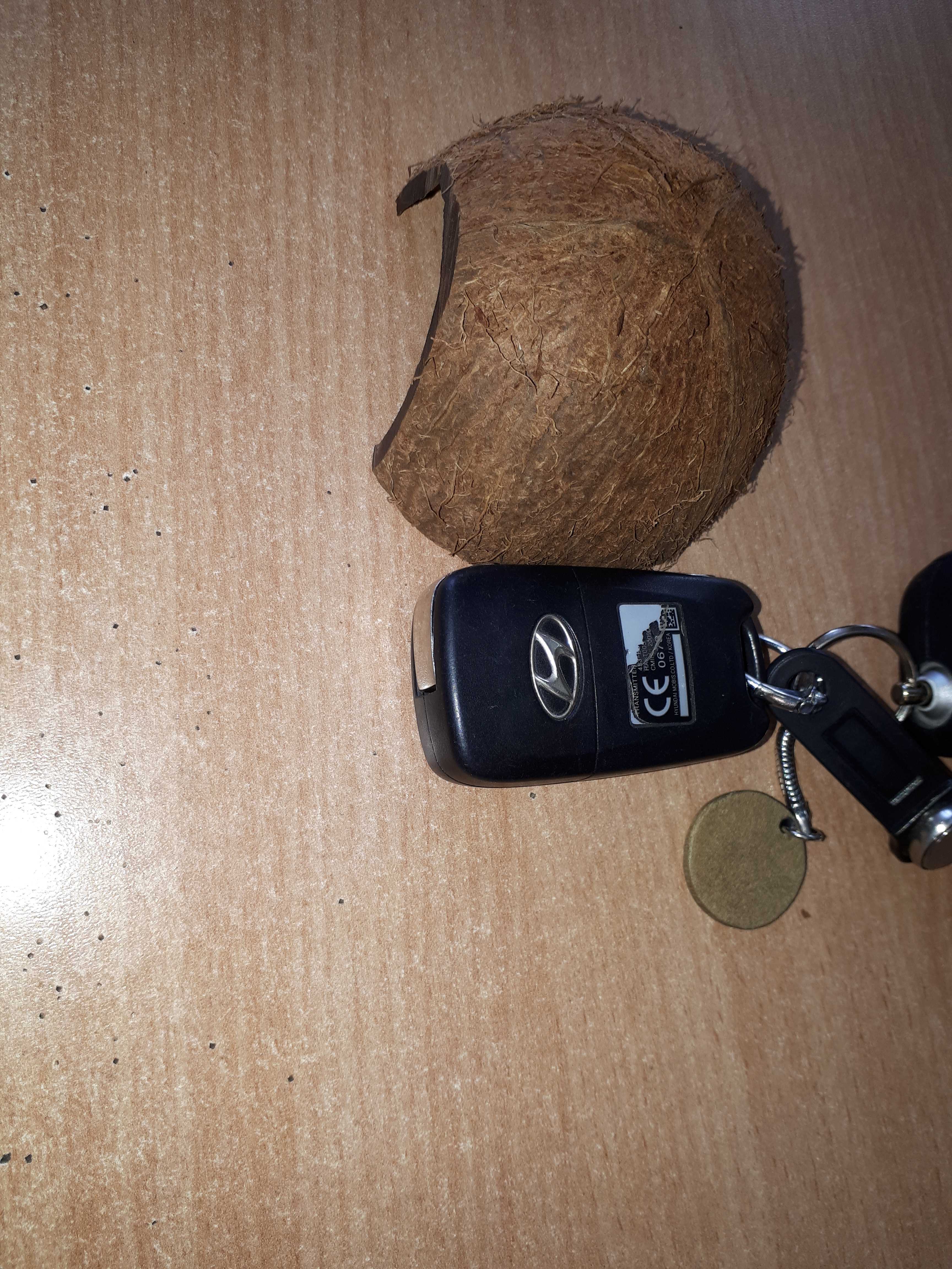 Фотография покупателя товара Скорлупа кокосовая 1/2, для рептилий и грызунов, L