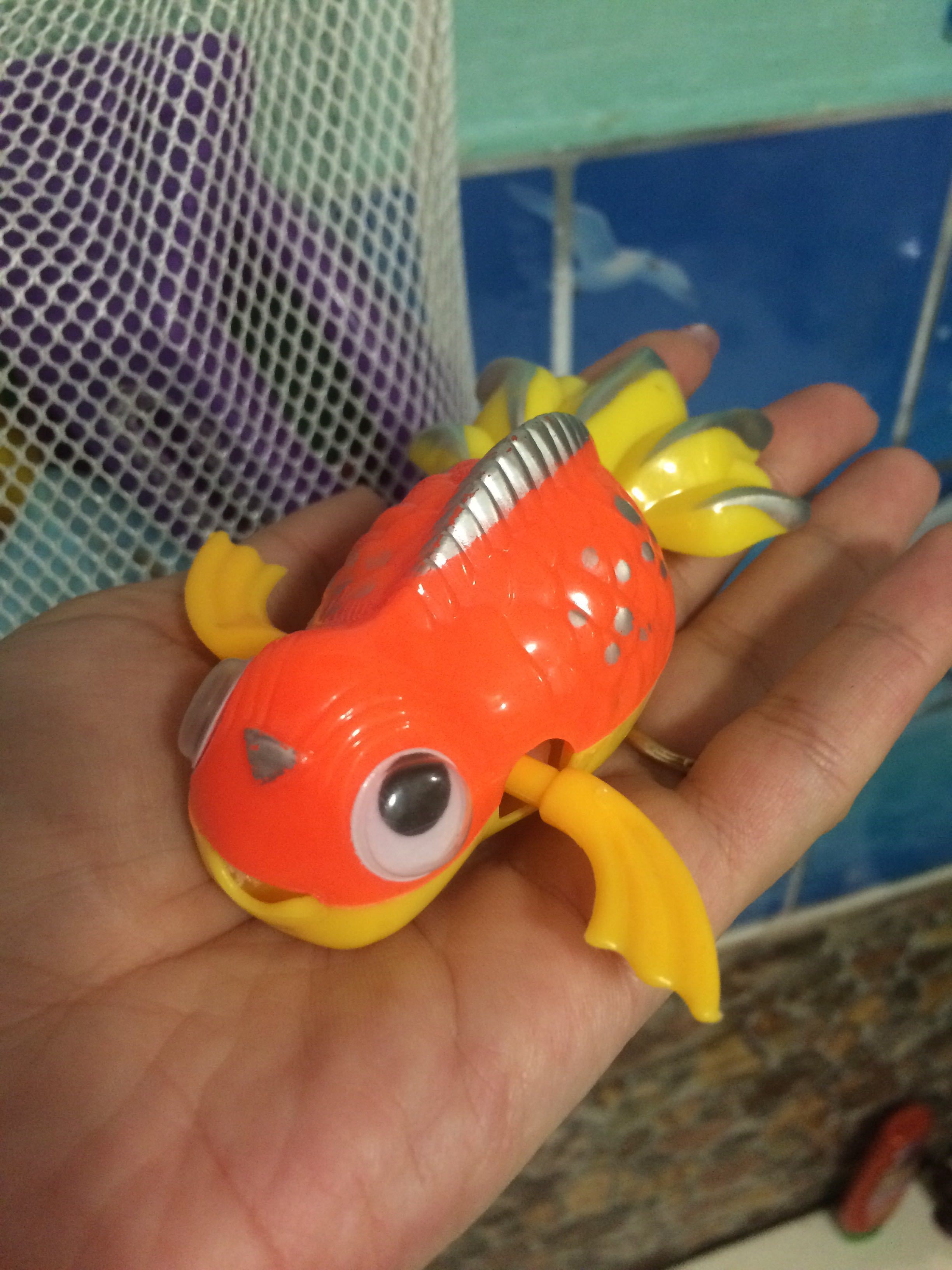 Фотография покупателя товара Игрушка заводная водоплавающая «Рыбка», МИКС - Фото 1