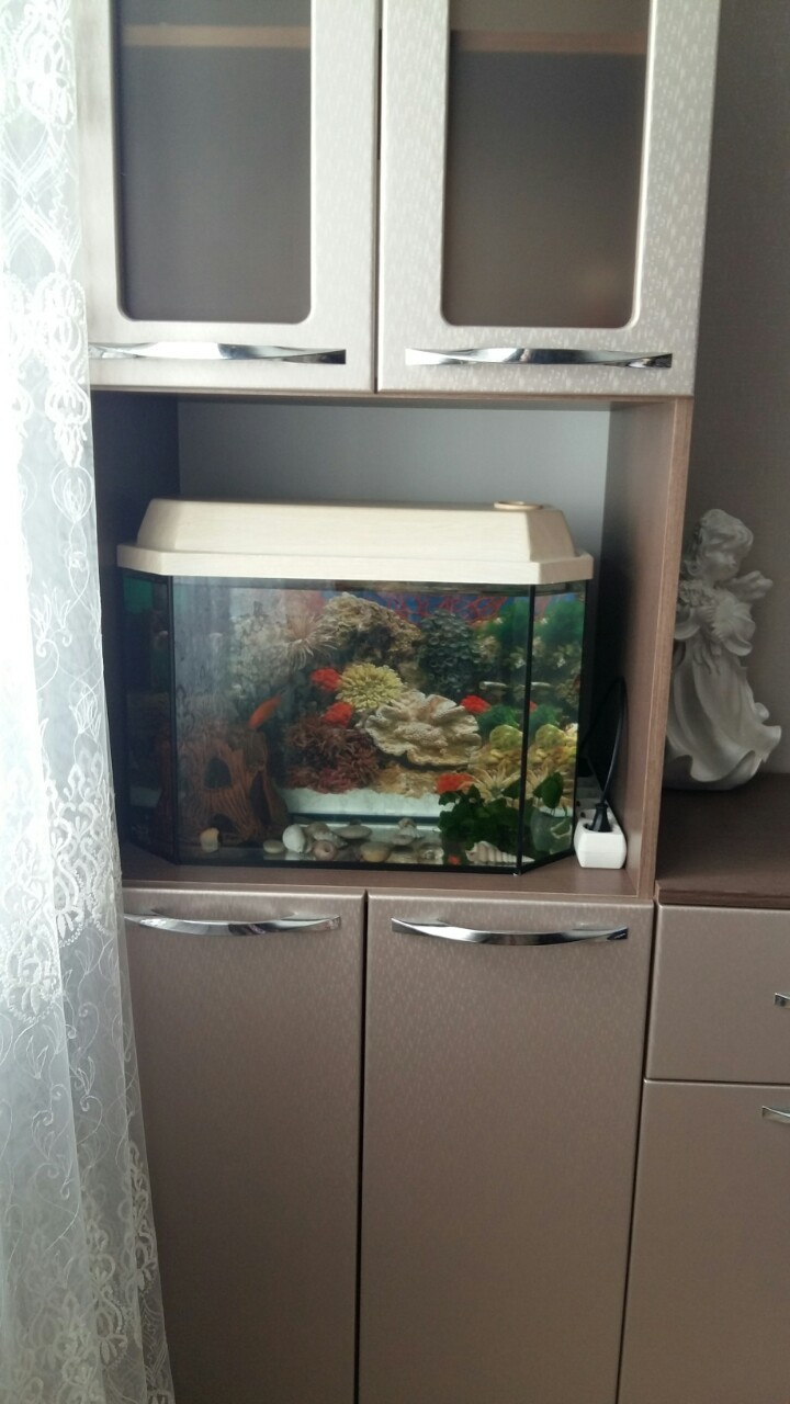 Фотография покупателя товара Аквариум "Панорамный" с крышкой, 40 литров, 51 х 23 х 34/39 см, беленый дуб