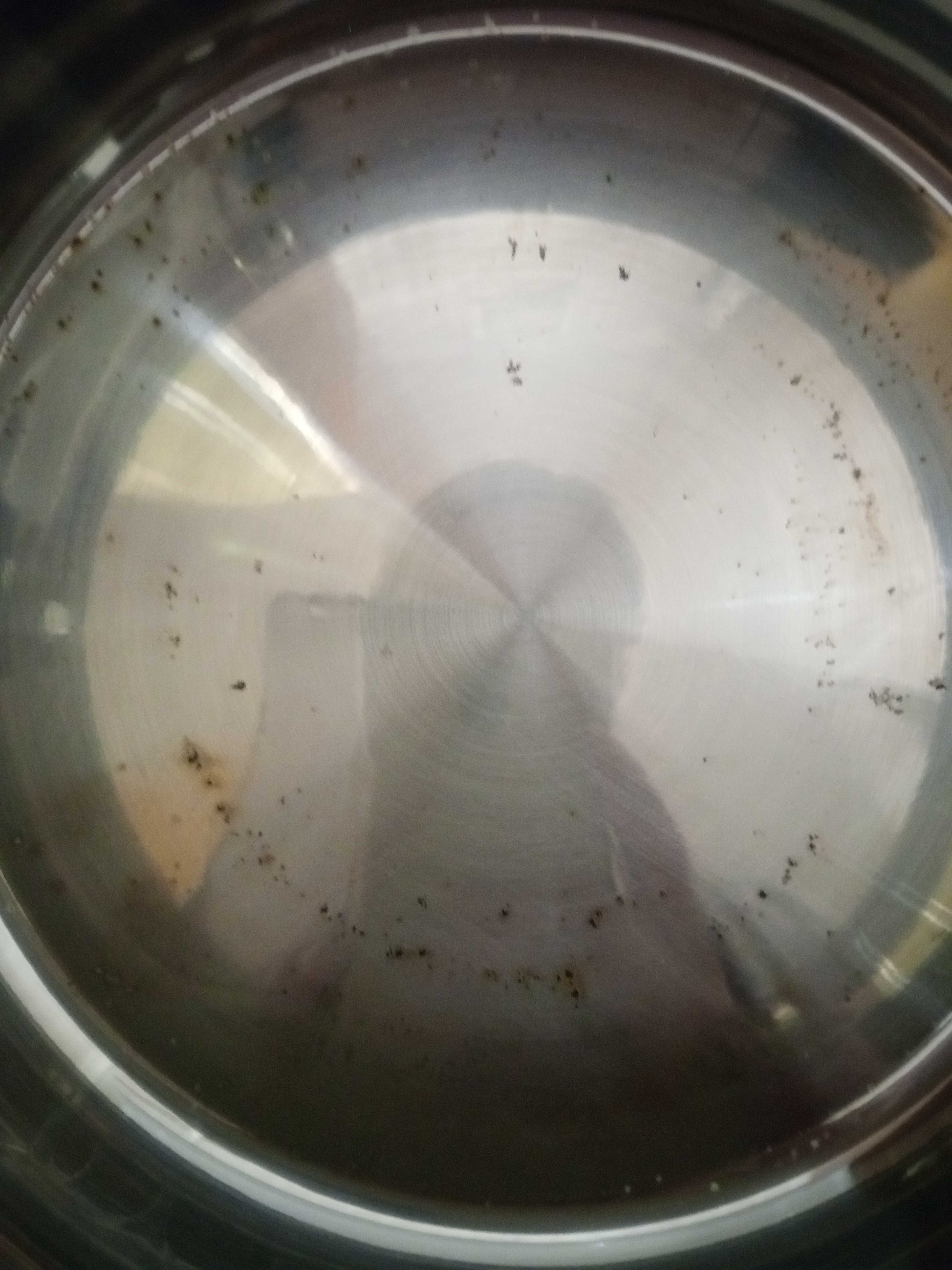 Фотография покупателя товара Кастрюля «Ирида», 3,9 л, d=20 см, с теплораспределительным слоем, стеклянная крышка, индукция