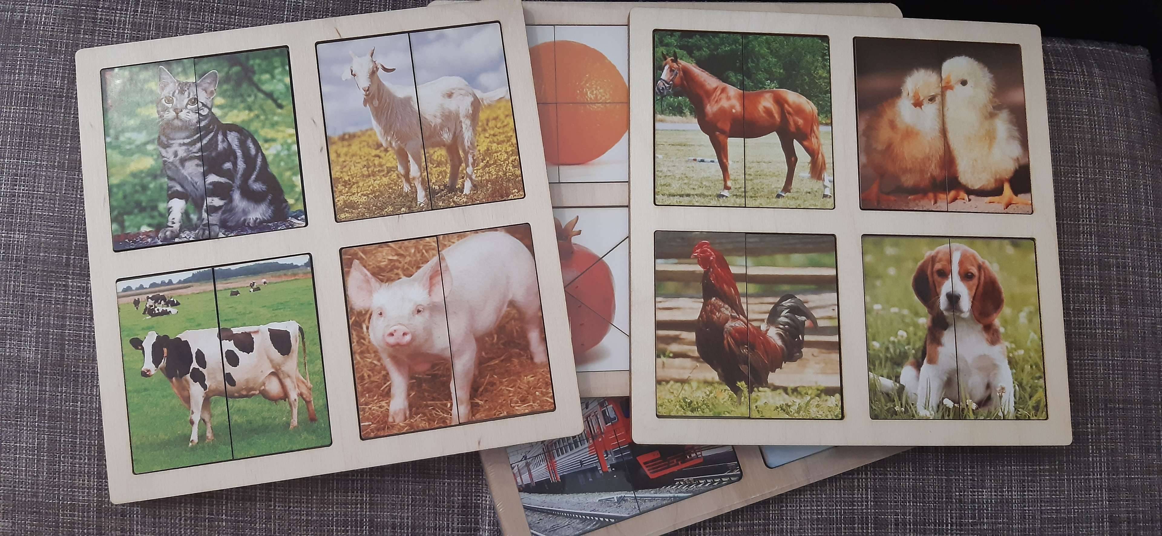 Фотография покупателя товара Картинки-половинки «Домашние животные», 2 планшета