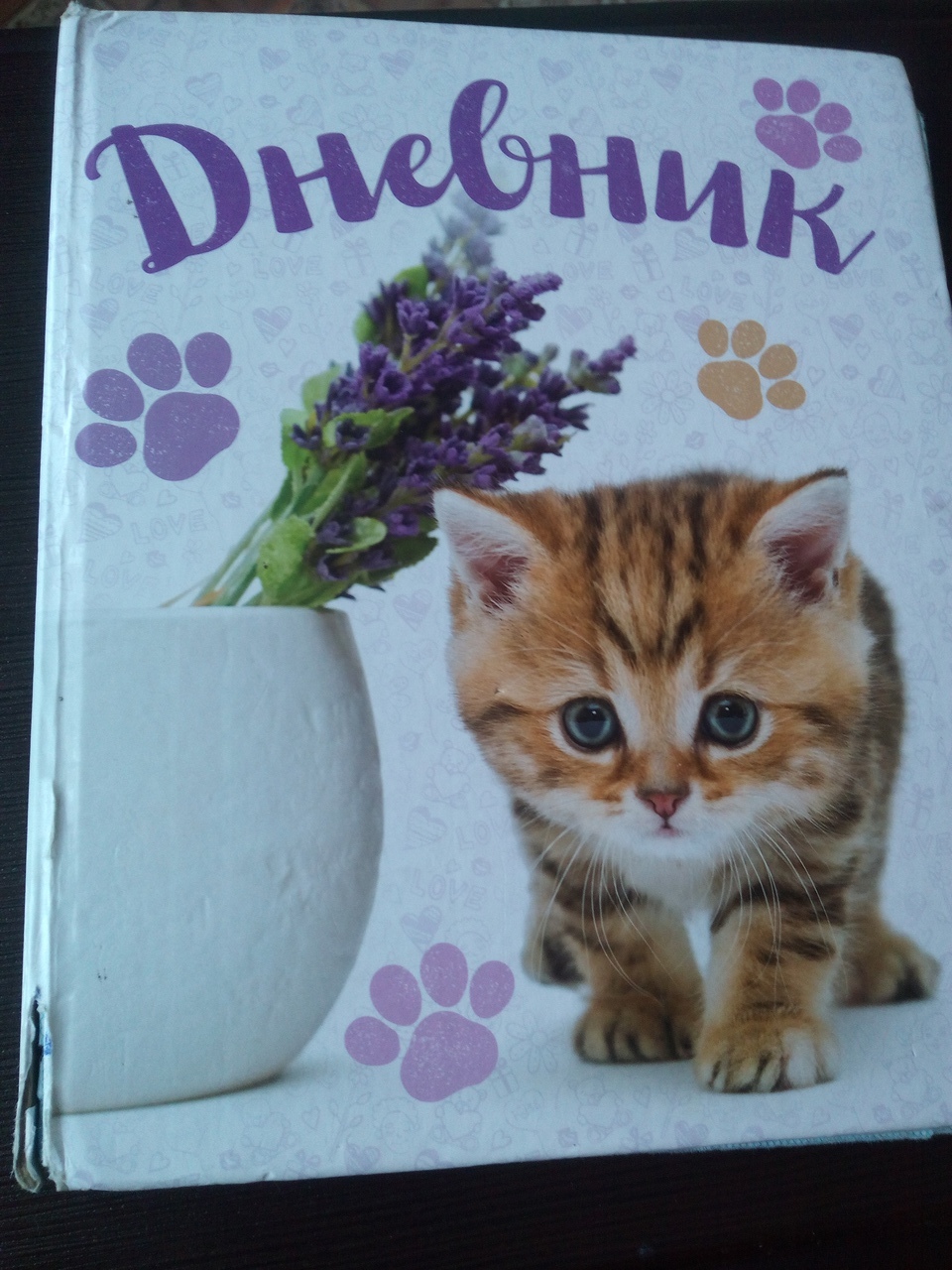 Фотография покупателя товара Дневник для 1-4 класса "Котёнок и сирень", твёрдая обложка, глянцевая ламинация, 48 листов - Фото 1
