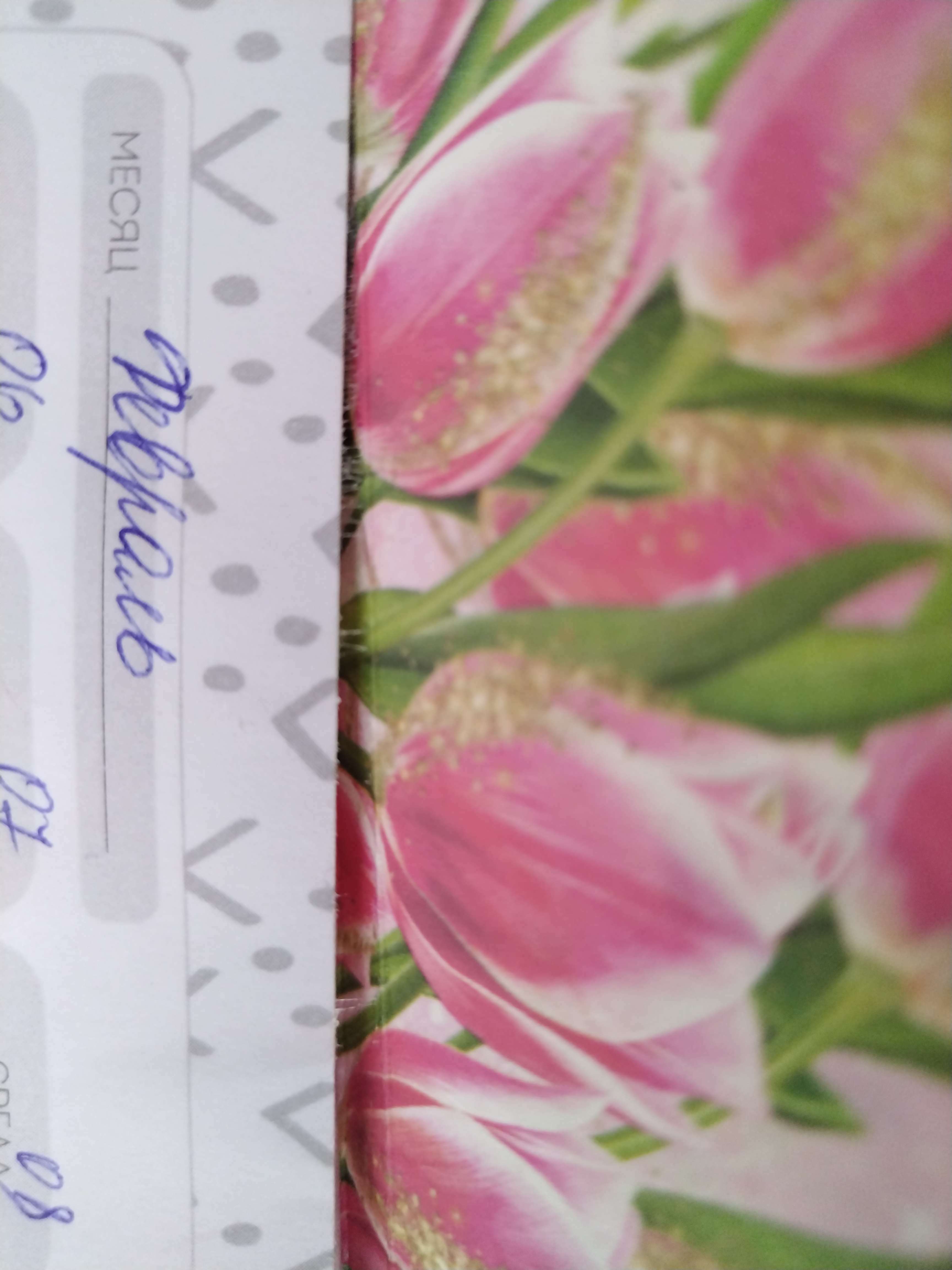 Фотография покупателя товара Планер мини с отрывными листами «Тюльпаны», А6, 50 листов - Фото 2