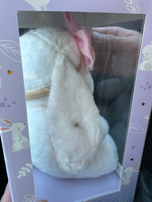 Фотография покупателя товара Мягкая игрушка «Зайка Ла-Пу-Ля», в платье, с повязкой бант - Фото 1
